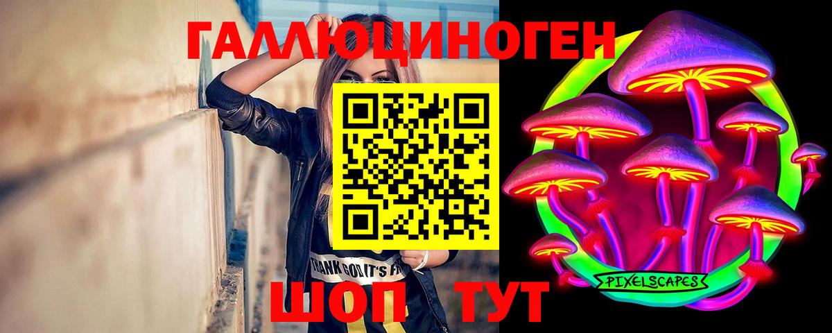 как найти закладки  Вход с VPN  Дзержинск  Псилоцибиновые грибы Psilocybe 