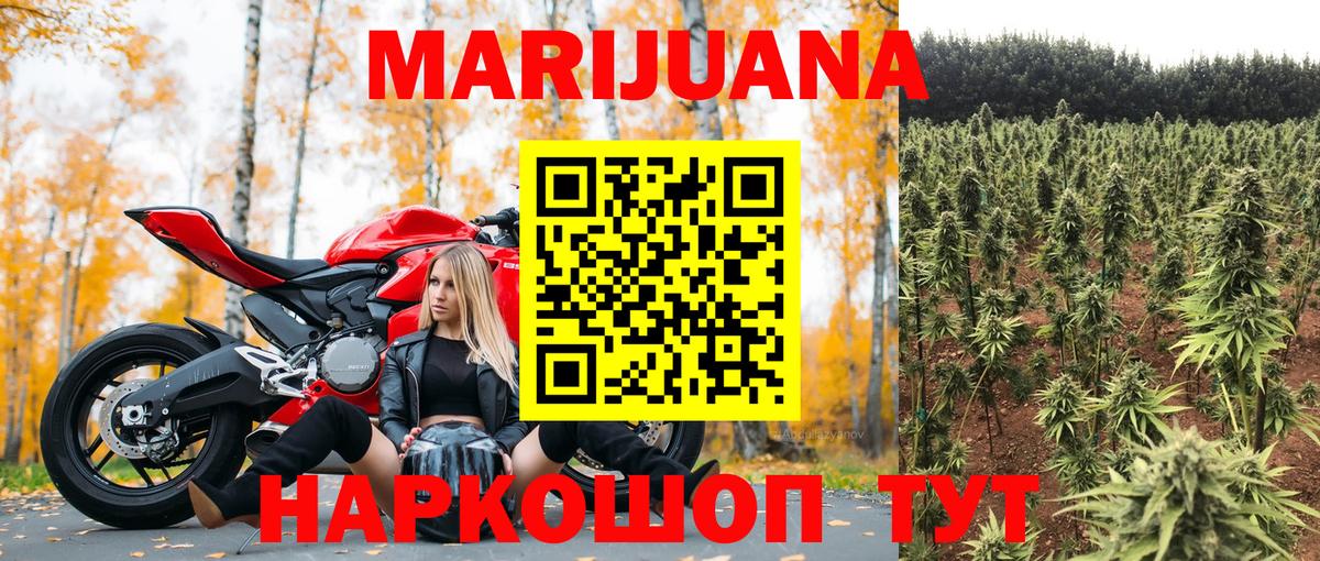 Канабис сатива Дзержинск